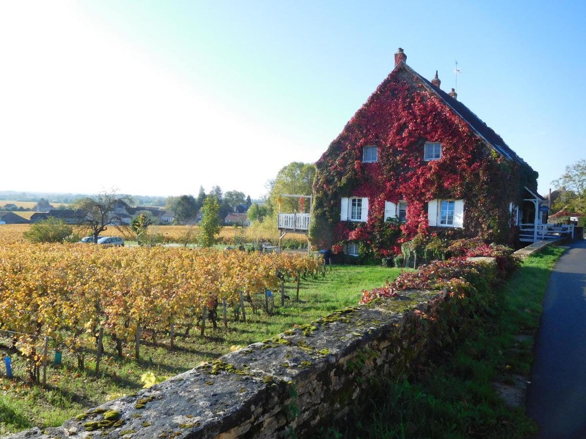 La Passerelle Des Corton B&B Aloxe-Corton Екстериор снимка
