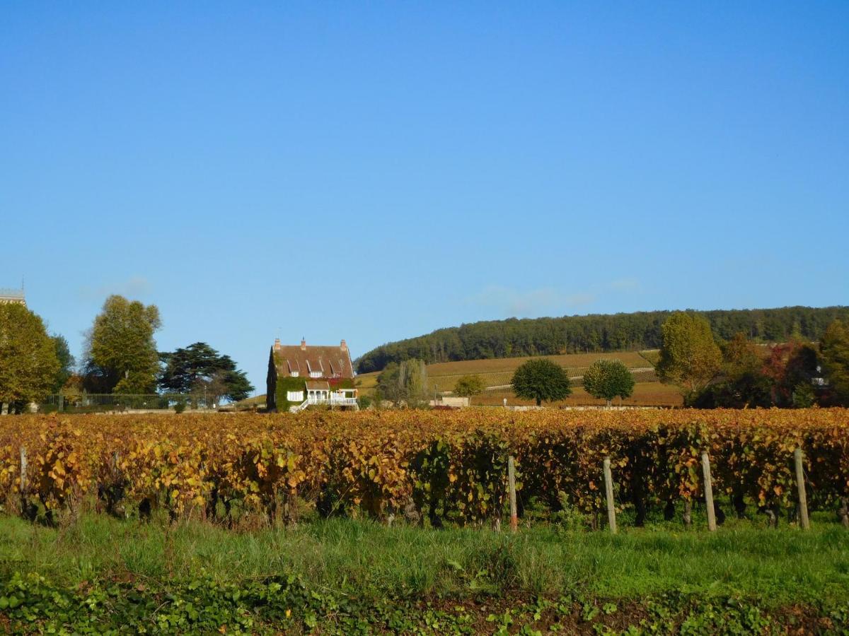 La Passerelle Des Corton B&B Aloxe-Corton Екстериор снимка